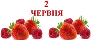 2-chervnya-1-1024x446